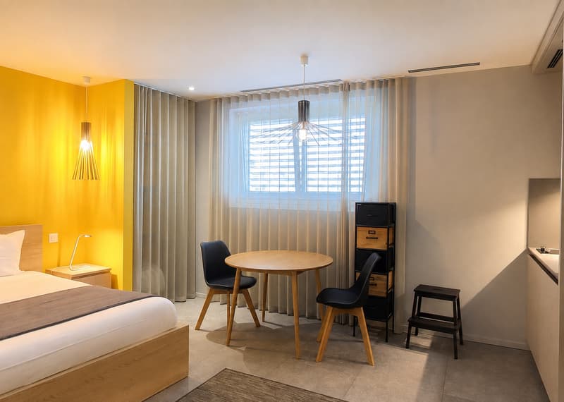 Modern Studio Apartment in the Cornavin district (3)