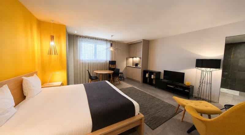 Modern Studio Apartment in the Cornavin district (2)