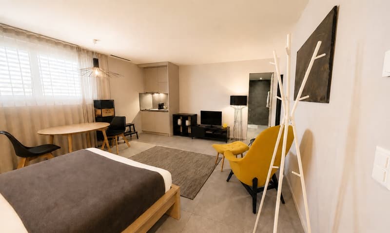 Modern Studio Apartment in the Cornavin district (4)