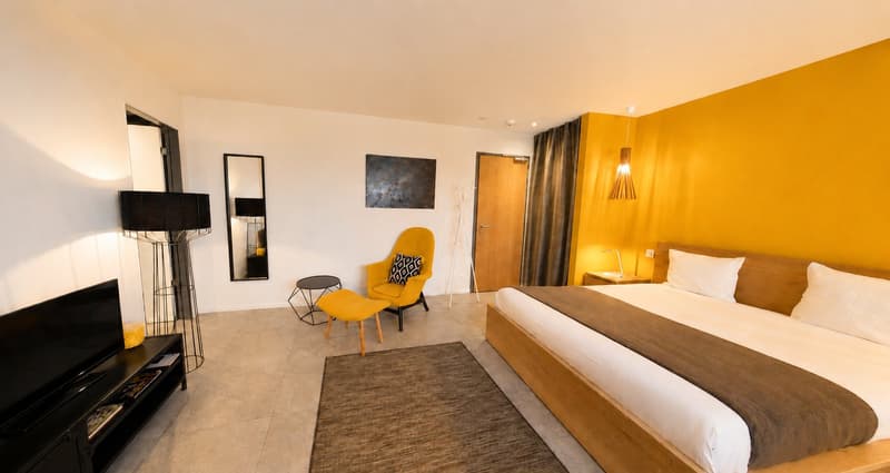 Modern Studio Apartment in the Cornavin district (7)