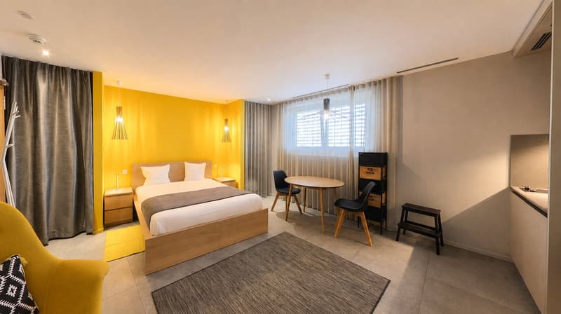 Modern Studio Apartment in the Cornavin district (1)