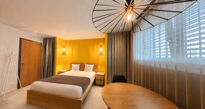 Modern Studio Apartment in the Cornavin district (8)