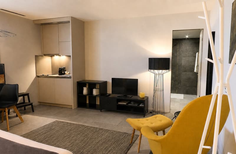 Modern Studio Apartment in the Cornavin district (5)