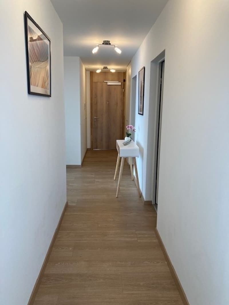 Spacious 85 m² 2-bedroom apartment with lake and mountain views - 3min to lake with parking (14)
