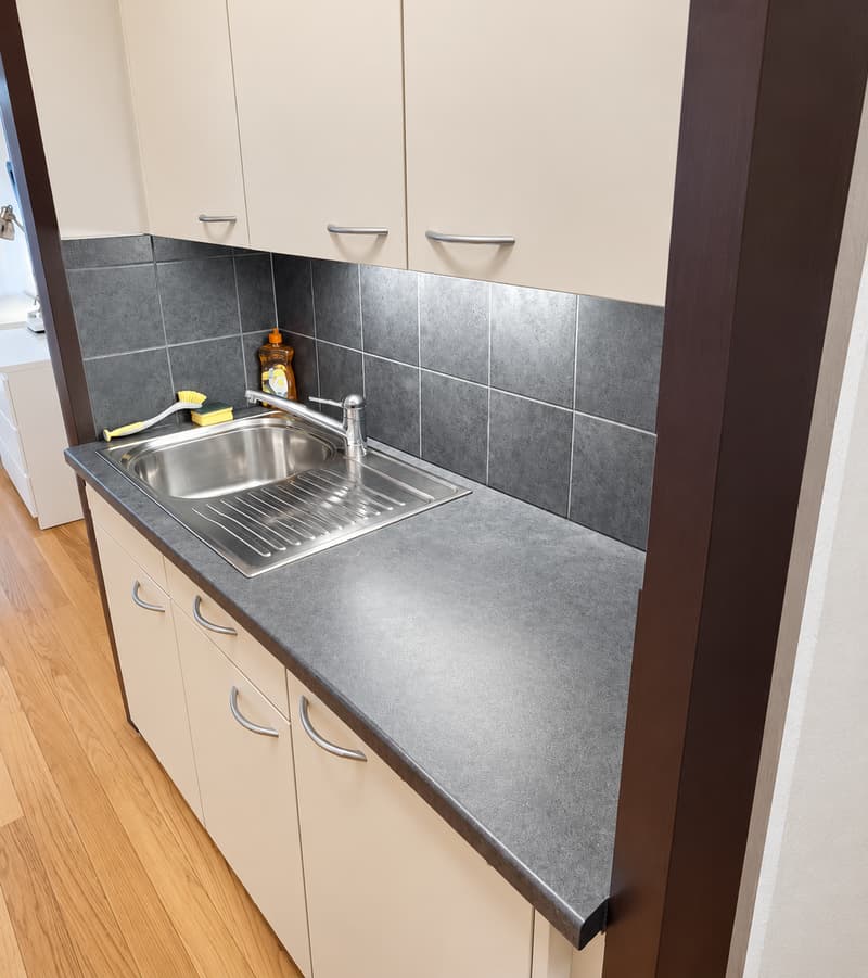 Modern Fully Furnished Studio near University of Geneva & HUG - Plainpalais, Geneva (6)