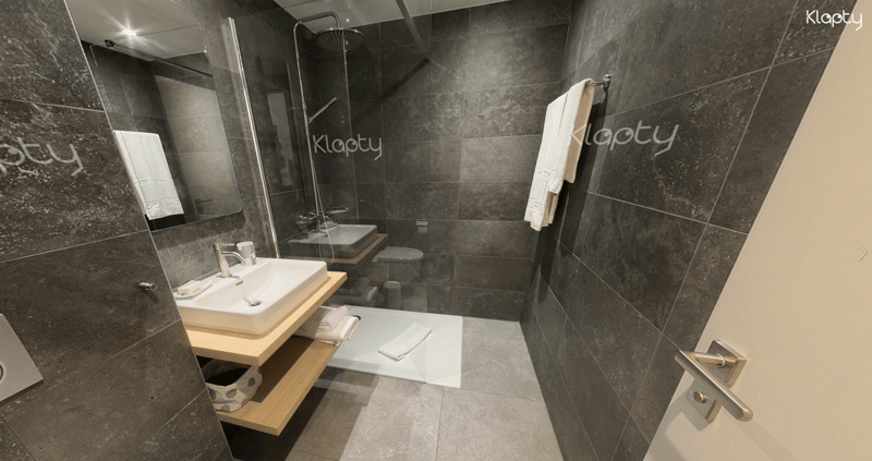 Charming furnished studio near Lake Geneva (Cornavin District) (4)