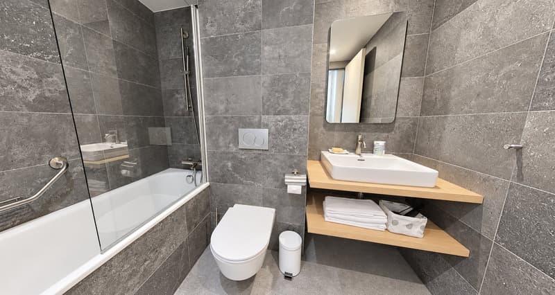 Charming Furnished 1-bed in the Heart of Geneva (5)
