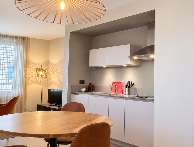 Charming Furnished 1-bed in the Heart of Geneva (7)