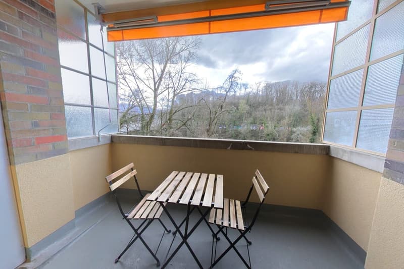 Furnished apartment - 1 bedroom / Appartement meublé 1 chambre - in the center of Geneva (5)