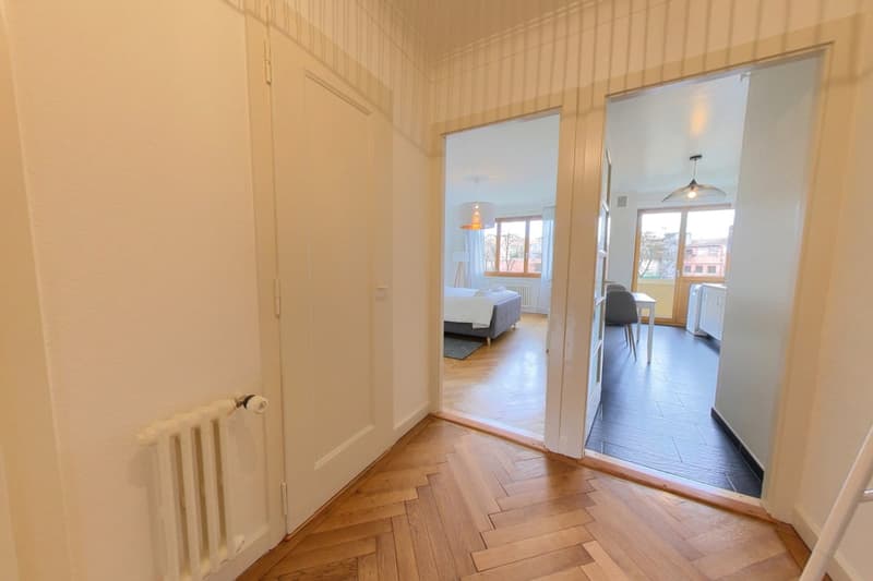 Furnished apartment - 1 bedroom / Appartement meublé 1 chambre - in the center of Geneva (4)