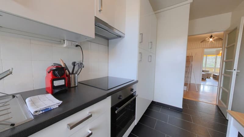 Furnished apartment - 1 bedroom / Appartement meublé 1 chambre - in the center of Geneva (3)