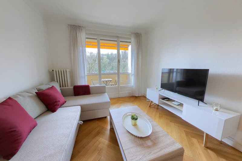 Furnished apartment - 1 bedroom / Appartement meublé 1 chambre - in the center of Geneva (1)