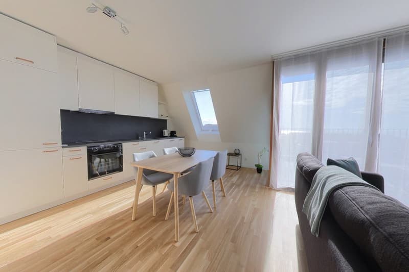 Newly renovated 75 m² 2-bedroom apartment (1)