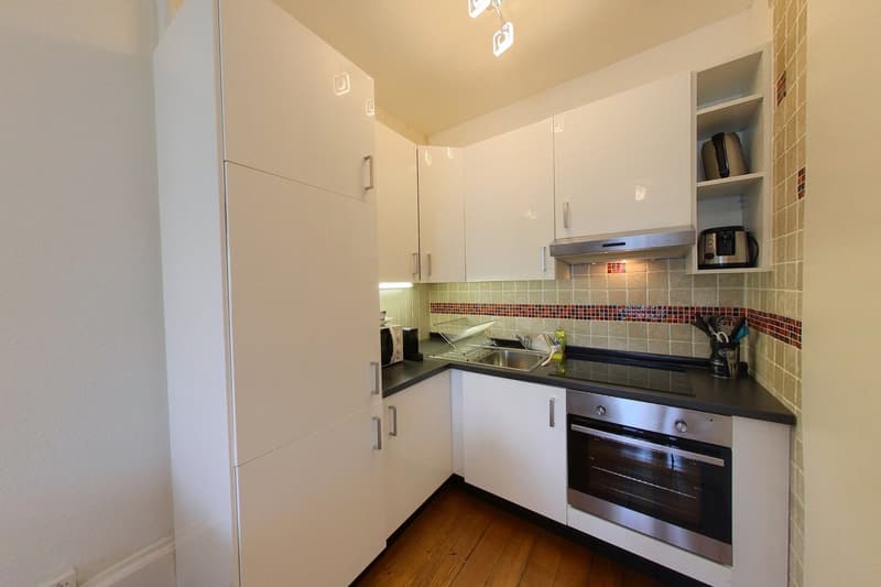 1-Bedroom Apartment / Appartement 1 chambre Eaux-Vives Genève (4)