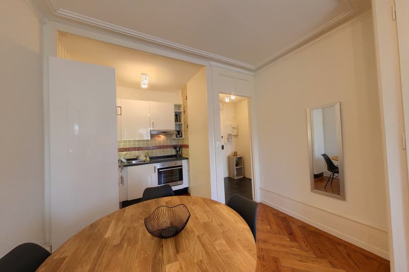 1-Bedroom Apartment / Appartement 1 chambre Eaux-Vives Genève (11)