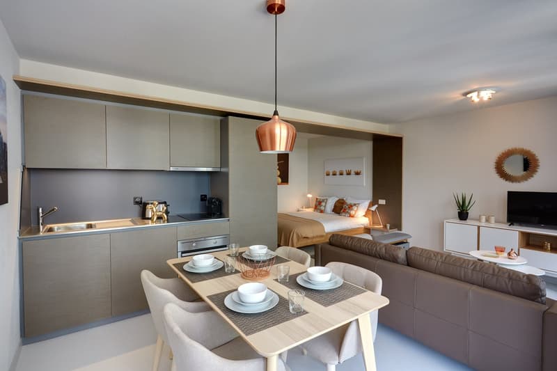 Studio meublé Standard /Furnished studio Standard Nyon (2)
