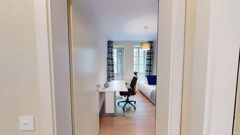 Elegant & Very Central 2 Bedroom Apartment with Stunning Brick Features (19)