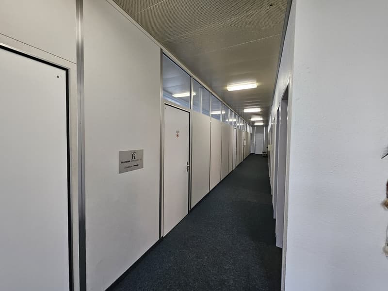 Empty corridor with white walls, gray floor, glass doors, and ceiling lights
