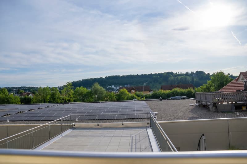 The image shows a rooftop view with a large array of solar panels covering the roof. In the background, there is a forested hillside and a residential area with houses and trees. The sky is partly cloudy with a bright sun visible.