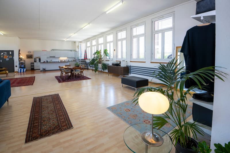 Schöne Loft (1)