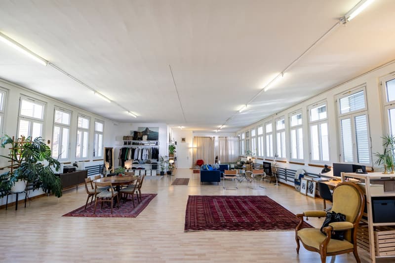 Schöne Loft (2)