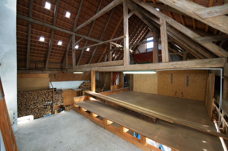 26. Scheune - Einfamilienhaus, Bauernhaus, 8 Zimmer, freistehend, restauriert, familienfreundlich, Parkett, Stellplätze, Estrich, Scheune, Ausbaupotenzial, kaufen, verkaufen, Immobilienmakler, FEHR Immopartner AG, Homburg, Frauenfeld, Thurgau