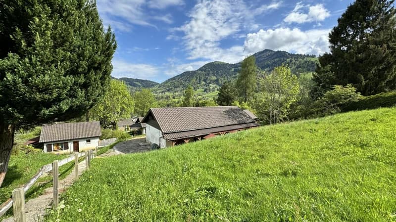 Villa jumelle 2 pièces à Montreux (7)