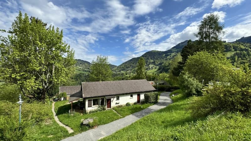 Villa jumelle 2 pièces à Montreux (6)
