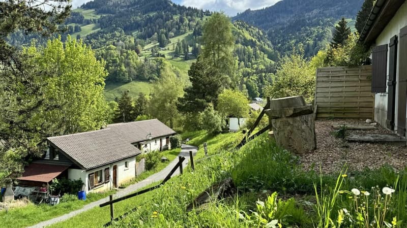 Villa jumelle 2 pièces à Montreux (4)