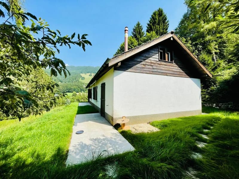 Attached house 2 rooms in Montreux (2)