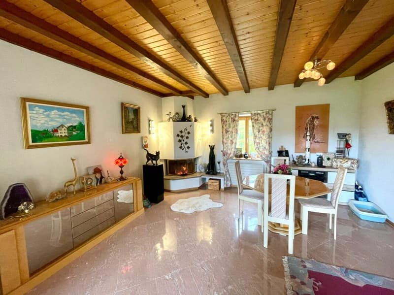 Bella casa vignaiola (4)