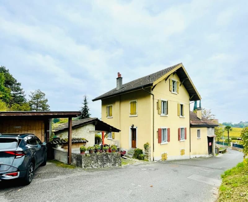 Bella casa vignaiola (2)