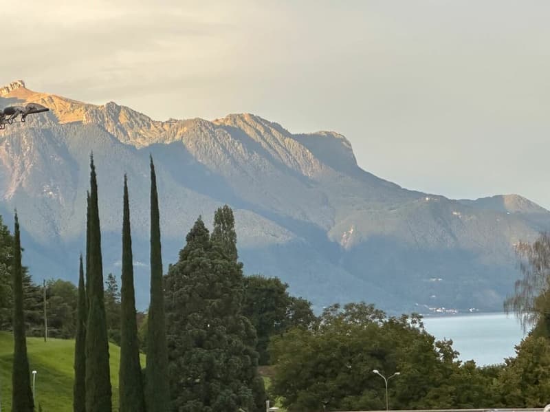 Bella casa vignaiola (23)