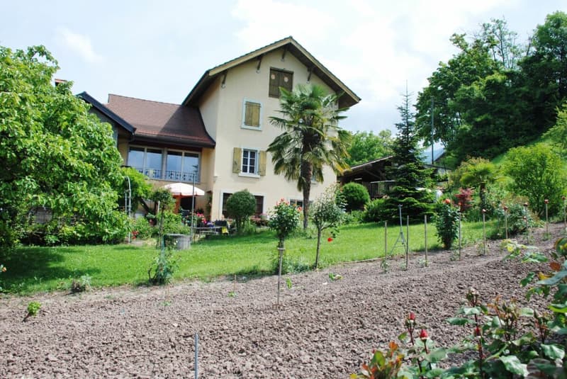 Bella casa vignaiola (1)