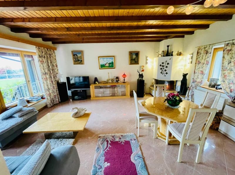 Bella casa vignaiola (5)
