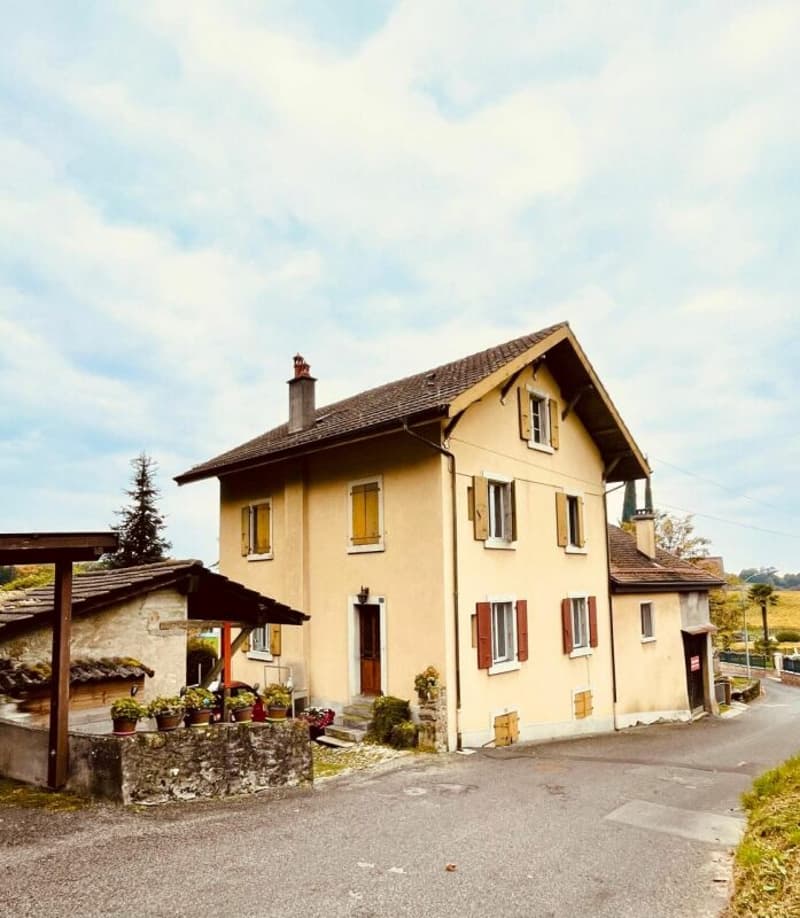 Bella casa vignaiola (3)