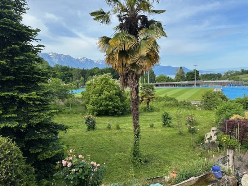 Bella casa vignaiola (22)