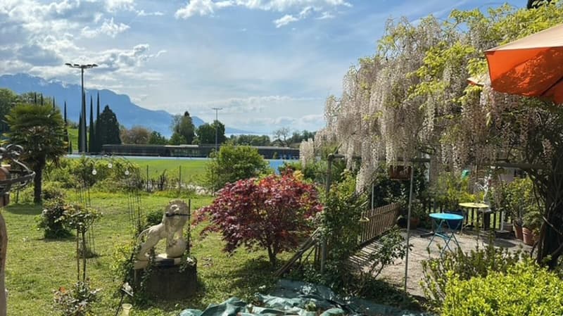 Bella casa vignaiola (20)