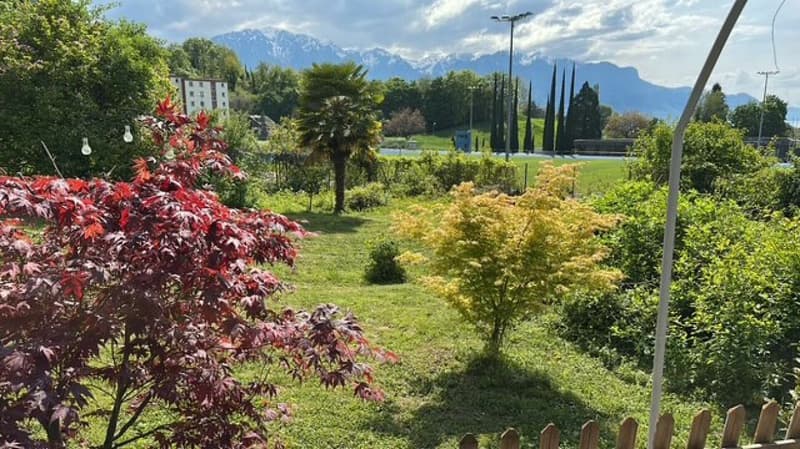 Bella casa vignaiola (21)