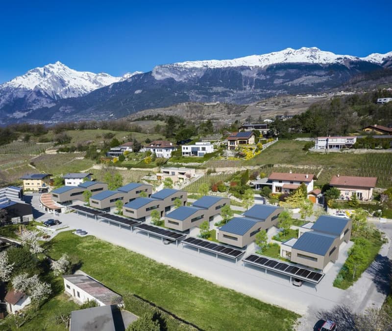 Diolly "Opus Verde" Sion (4)