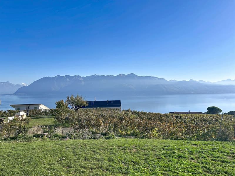 Vue depuis séjour et cuisine