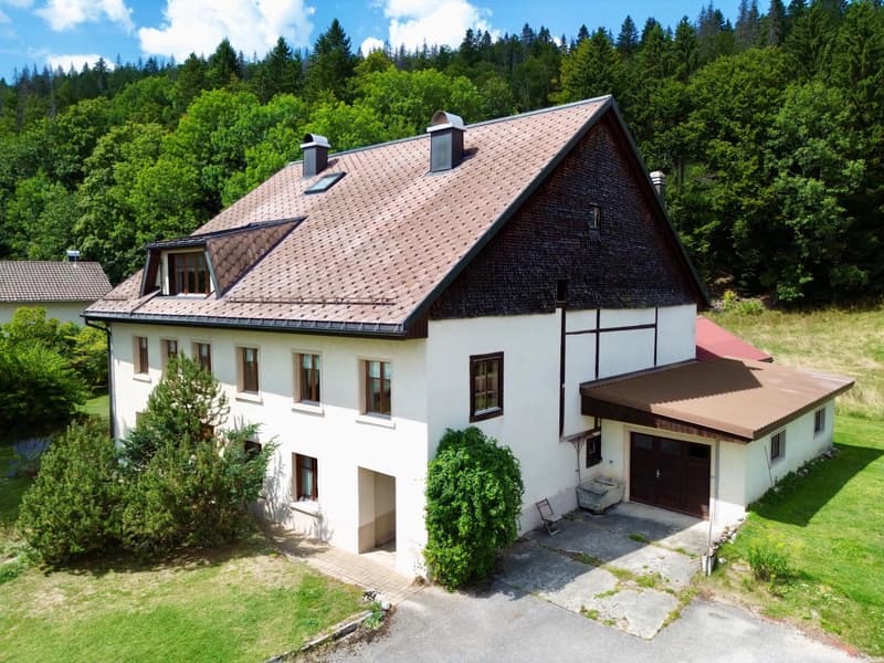 Rental property benefiting from a breathtaking view of Lake Joux with development potential (7)