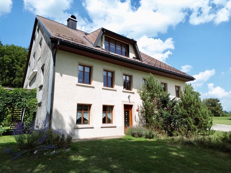 Rental property benefiting from a breathtaking view of Lake Joux with development potential (4)