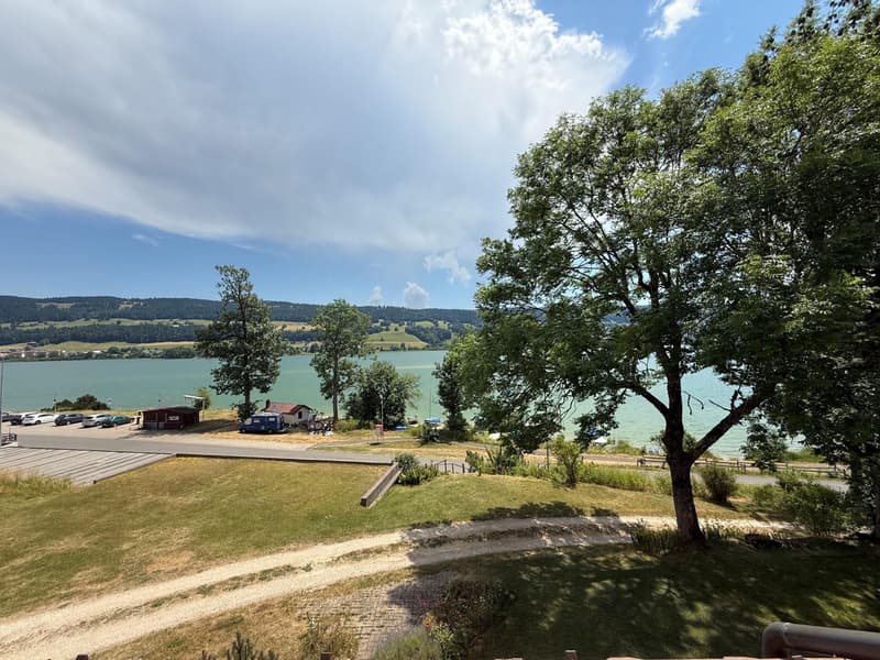 Rental property benefiting from a breathtaking view of Lake Joux with development potential (10)