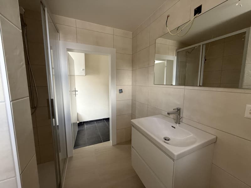 Un bien rare au coeur du Brassus, réunissant habitation et local commercial, avec un beau potentiel d'investissement (12)