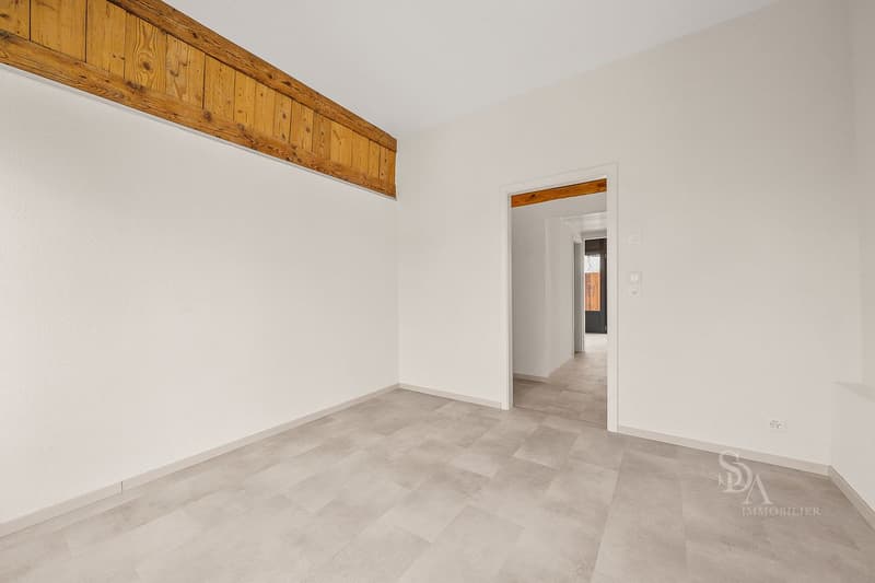 Appartemement spacieux avec grande terrasses (9)