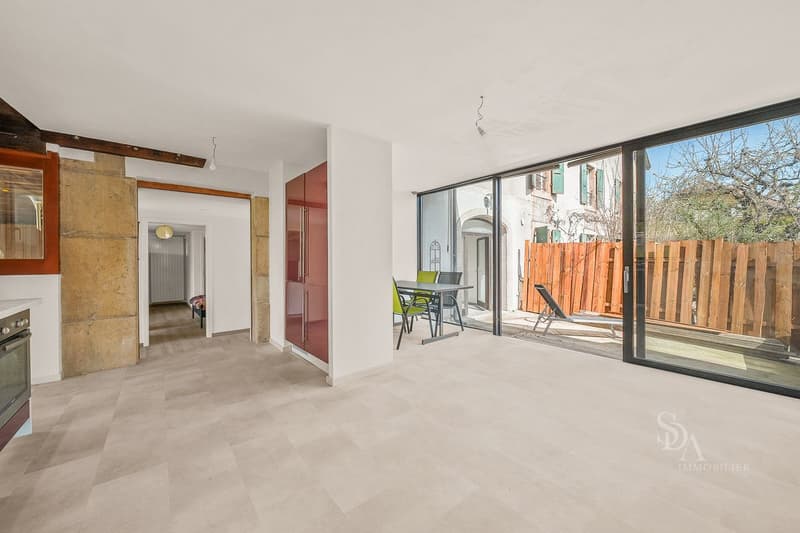 Appartemement spacieux avec grande terrasses (10)