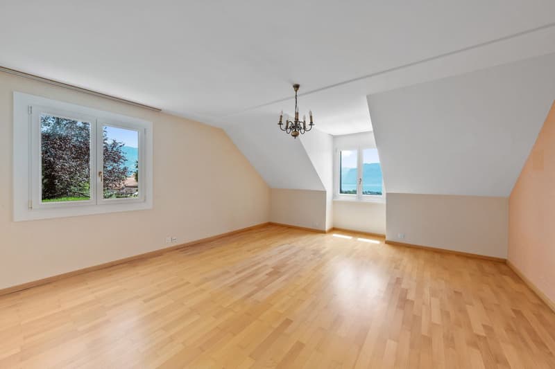Exceptional villa, breathtaking view of the lake and the Alps, ideal location! (8)