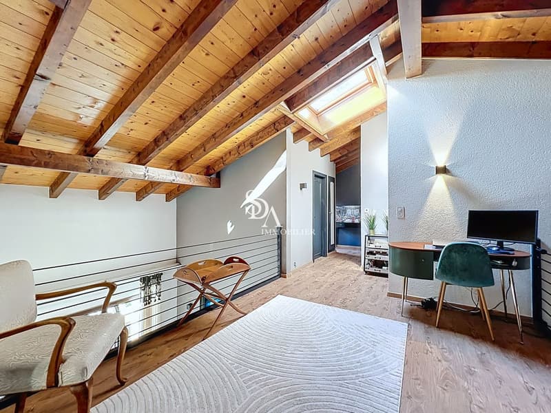 Sublime and spacious duplex (10)