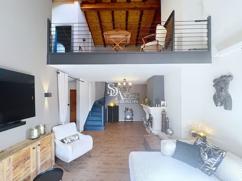 Sublime and spacious duplex (2)